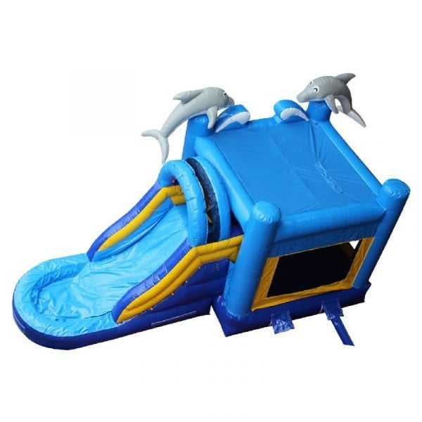 dolphin waterslide combo top view