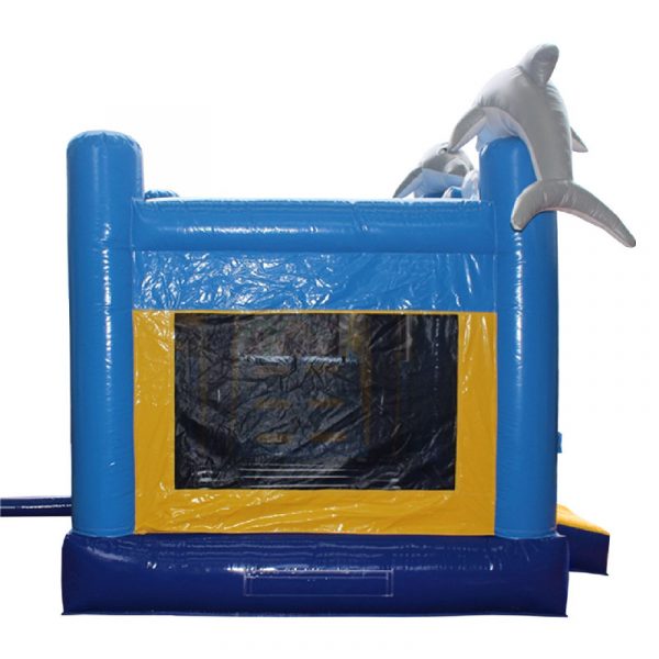 dolphin waterslide combo side view